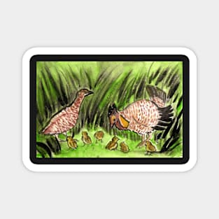 Prairie-chicken Grouse Family with Chicks Magnet