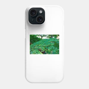 SF Japanese Tea Garden Study 15 Phone Case