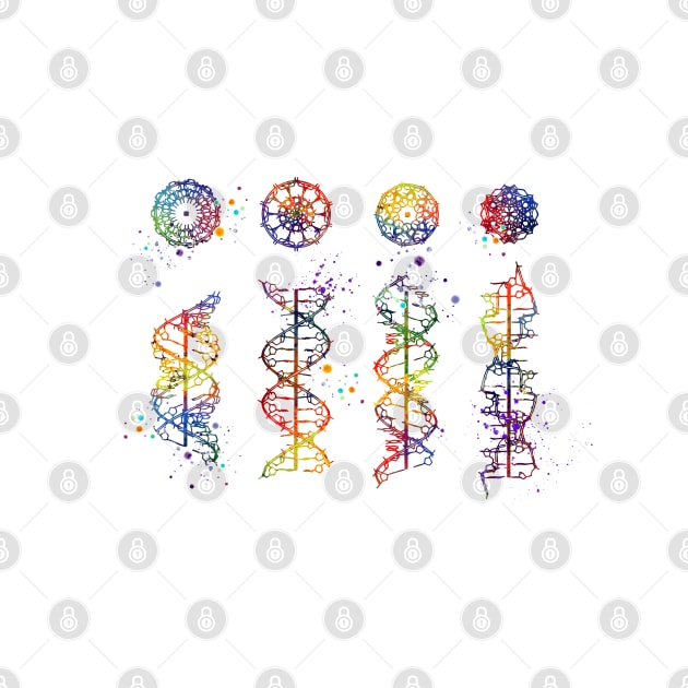 DNA Helix A-B-C-Z Colorful Watercolor by LotusGifts