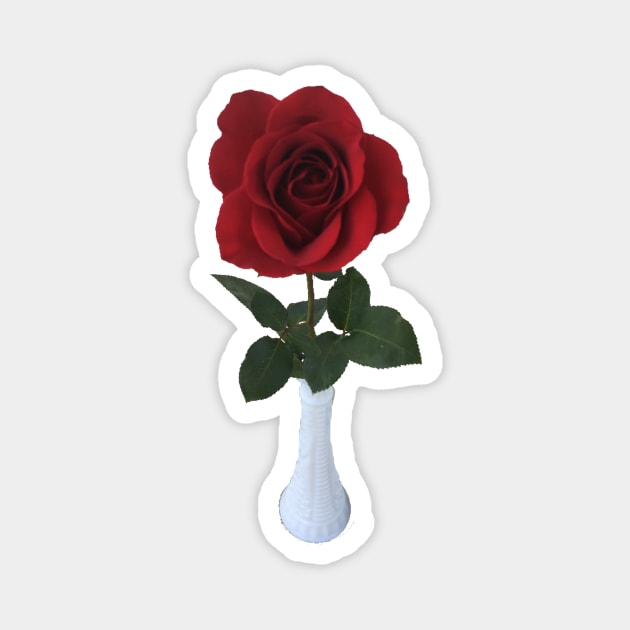 Dark Red Rose in a White Vase Magnet by Amanda1775