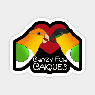 Caique Crazy Parrot Love Heart Magnet