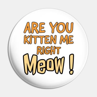 Are you kitten me right meow Pin