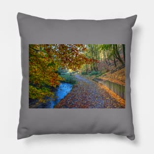 Hubbards Hills, Louth, Lincolnshire, Autumn Leaves Pillow