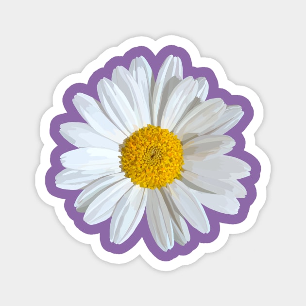 White marguerite blossom on purple Magnet by A_using_colors