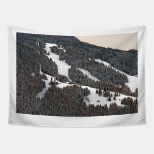 Montchavin Les Coches French Alps France Tapestry