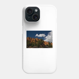 WGC_3507 Phone Case