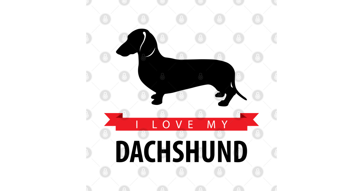 I Love My Dachshund Dachshund TShirt TeePublic