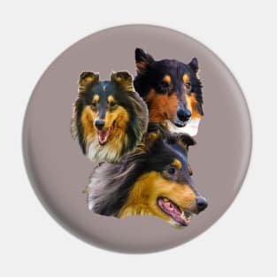 realistic dog print - cute collie Pin