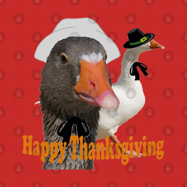 Fun Happy Thanksgiving Pilgrim Duck Couple In Costume by taiche