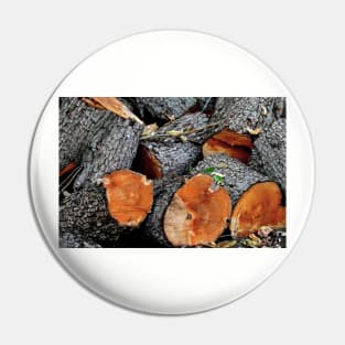 Log Pile Pin