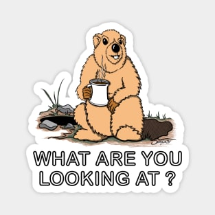 Funny Groundhog Day WHAT ARE YOU LOOKING AT? Magnet