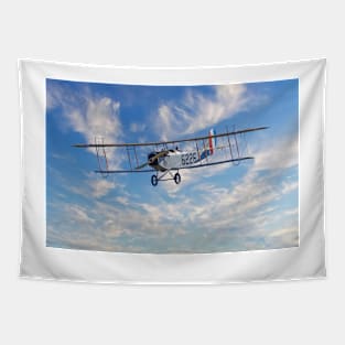 Curtiss JN-4H Biplane Tapestry