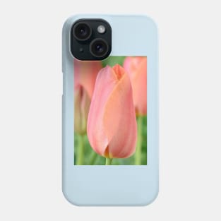 Tulipa  'Stunning Apricot'   Single Late Tulip Phone Case