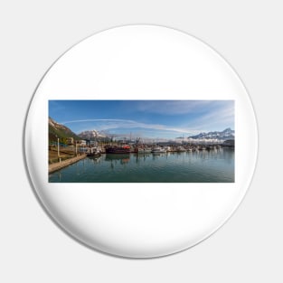 Seward Panorama Pin