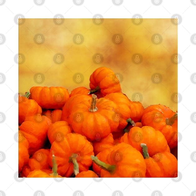 Celebrate Fall with Orange Watercolor Pumpkin Patch by Star58