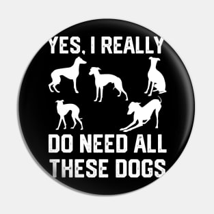 Greyhound yes, i really do need all these dogs Pin