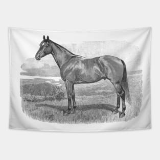 Horse Breed Black & White Illustration Tapestry