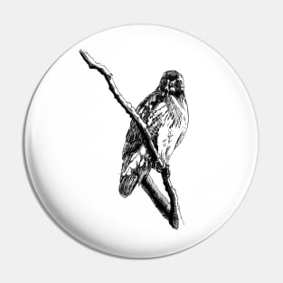 Hawk Ink Drawing Pin