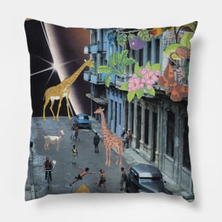 Havana Pillow