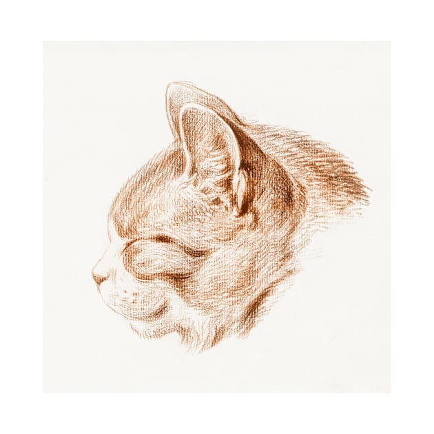 Sketch of a cat (1813) by Jean Bernard (1775-1883) by mike11209