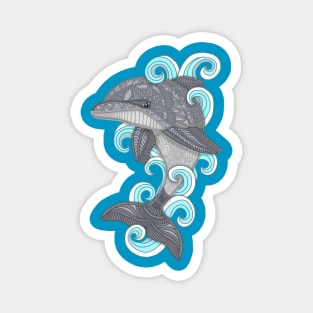 Dolphin Magnet