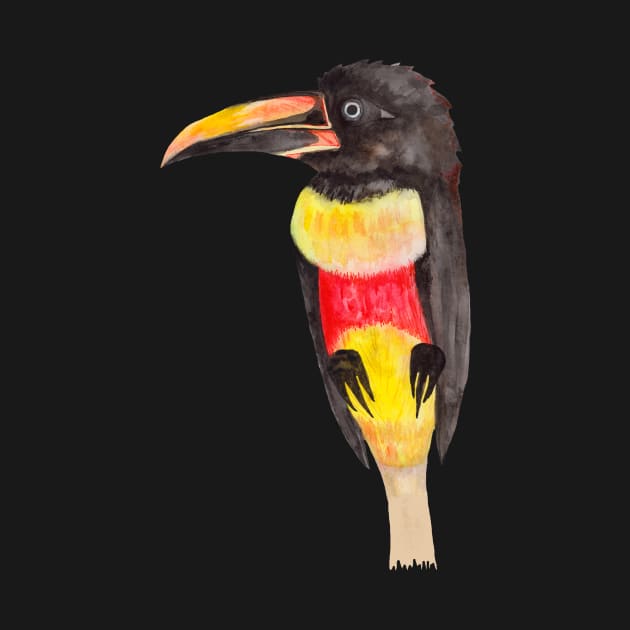 Colorful tropical toucan bird by deadblackpony
