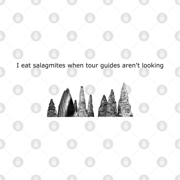 I eat salagmites when the tour guides aren't looking by ShirtsThatGoStupidHard