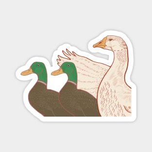 Duck Duck Goose Vintage Illustration Magnet