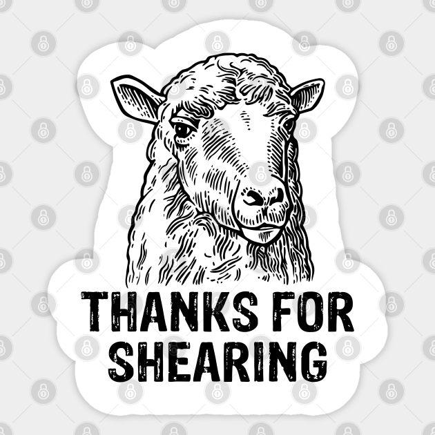 Hilarious Sheep Meme Thanks For Shearing Funny Sheep Pun Thanks For Shearing Pegatina Teepublic Mx