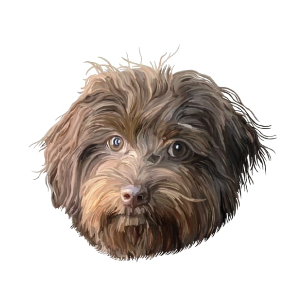 Havanese Dog Portrait by Art by Deborah Camp