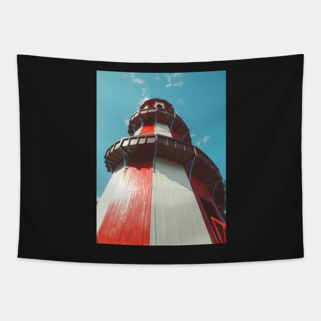 Helter Skelter Tapestry by hextrovert