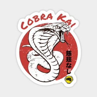 Cobra kai Magnet