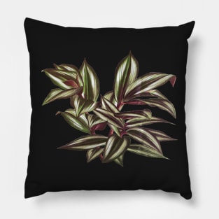 Tradescantia zebrina  - Botanical Illustration Pillow