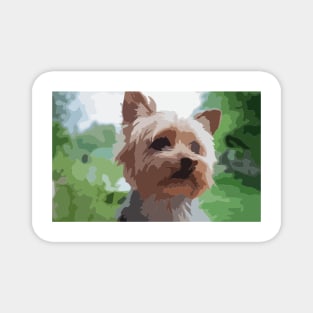 Yorkshire Terrier Digital Painting Magnet