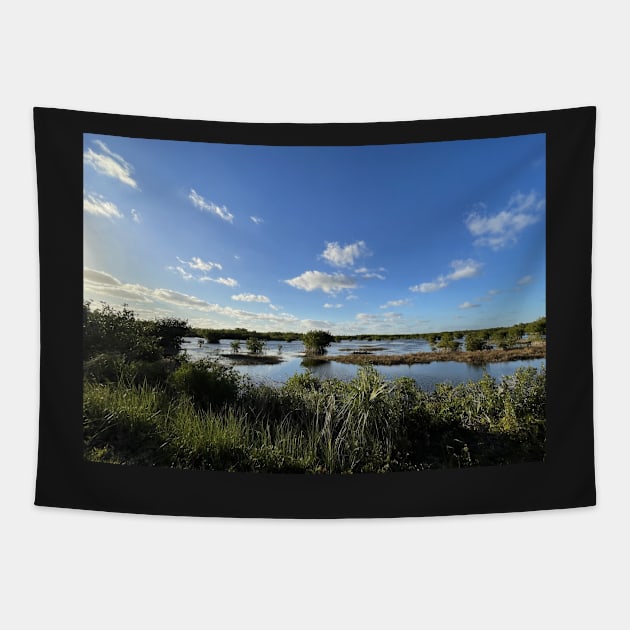 Florida Everglades Tapestry by Sparkleweather