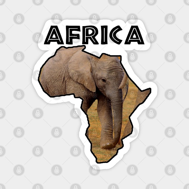 African Wildlife Continent Elephant Calf Magnet by PathblazerStudios