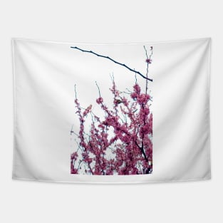 parrots and blossom Tapestry