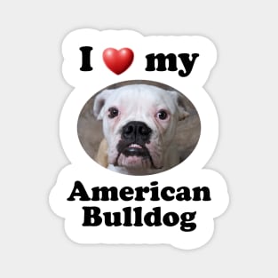 I Love My American Bulldog Magnet