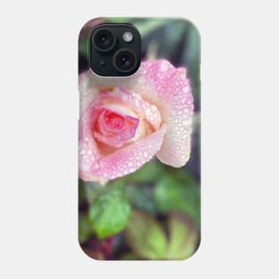 Pink Rose in Spring Rain Phone Case