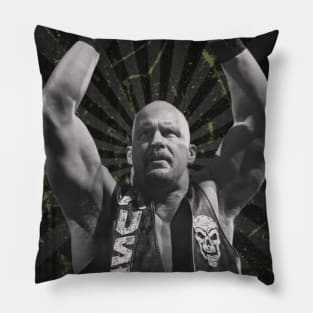 Stone Cold Pillow