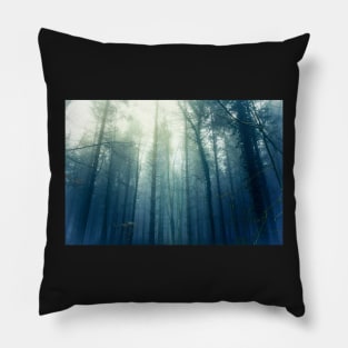 Light through the pines Pillow