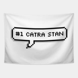 #1 Catra Stan | She-ra and the Princesses of Power Tapestry