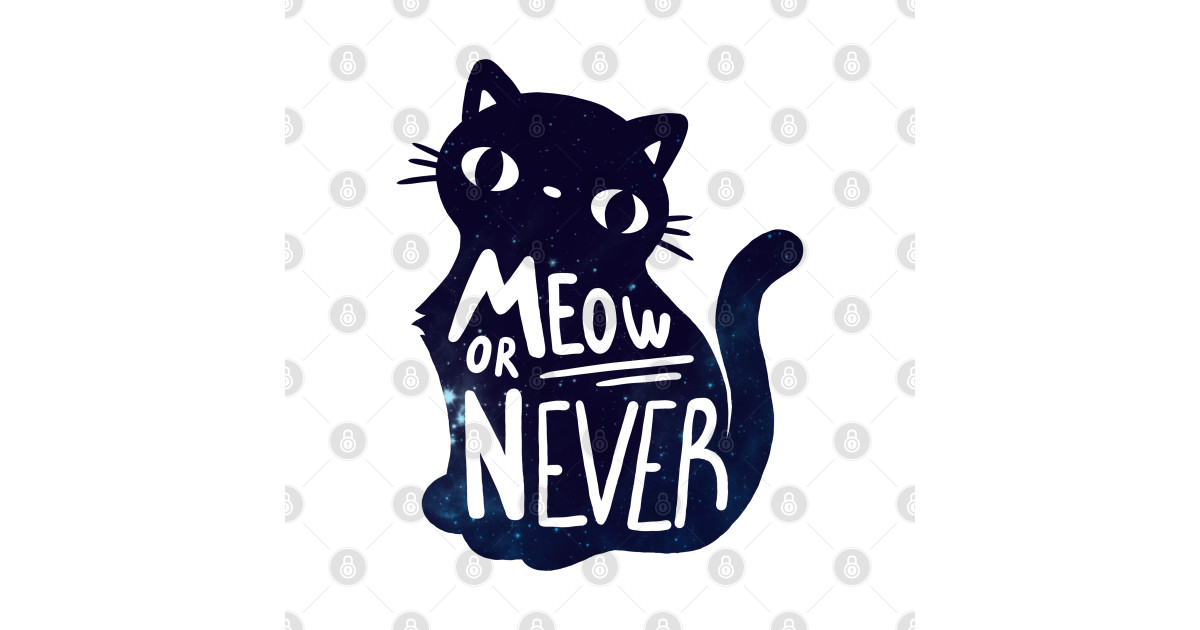 Meow Share