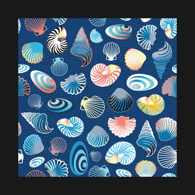 colorful sea shells on dark blue background by colorofmagic