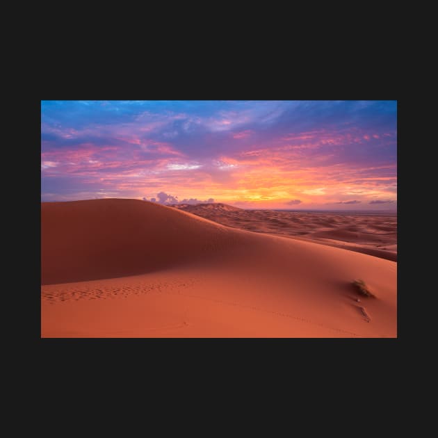 Sahara desert near Merzouga, Morocco at sunset by mitzobs