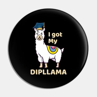 I Got My Dipllama Pin