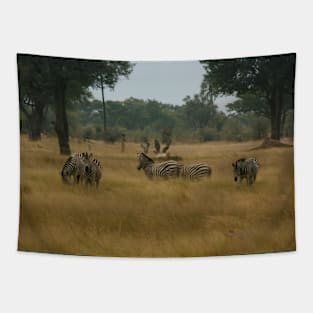 Zebras Gathering Tapestry