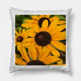 Summer Floral Black Eyed Susan Happy Daisy Retro Flowers Pillow