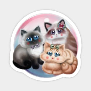 Cute Cats with Bows Magnet