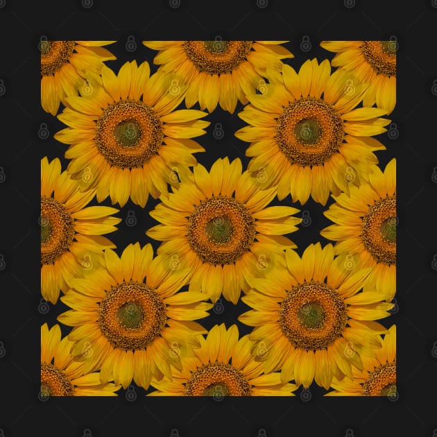 Sunflower 2 Tile by ziafrazier